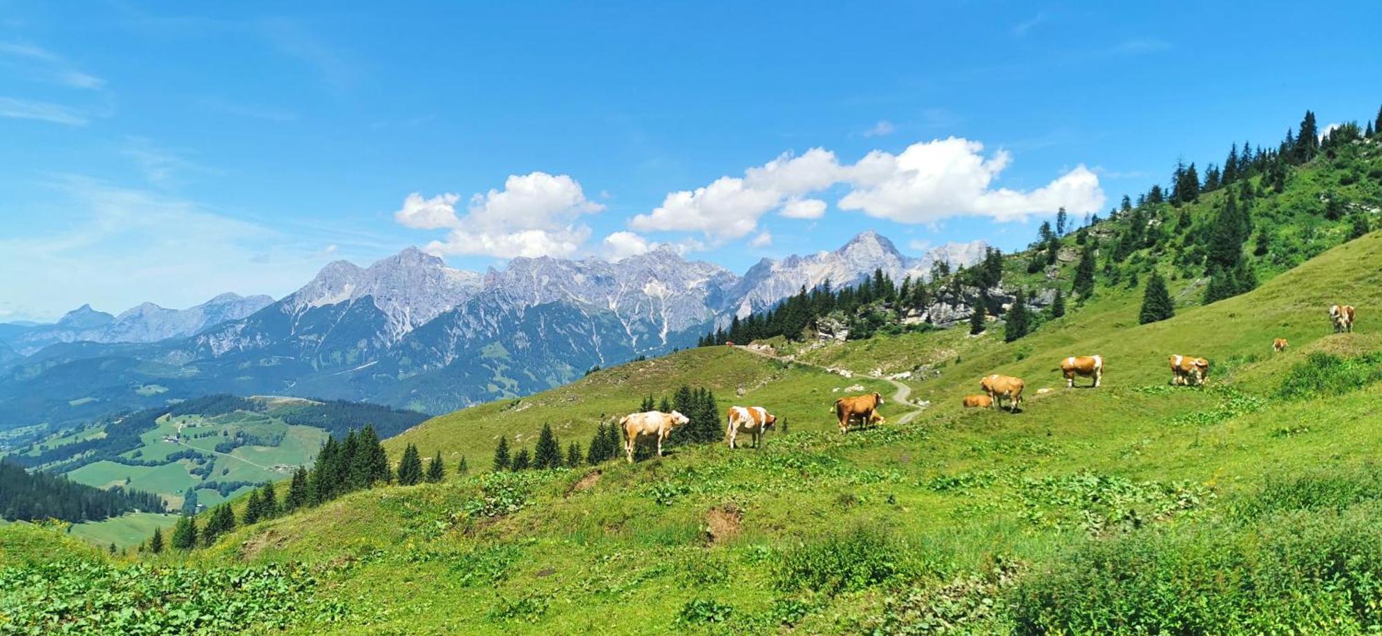 Maria Alm - Komfortables Apartment Gipfelglueck Saalfelden Dış mekan fotoğraf